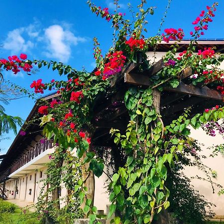 Hotel Fazenda Triunfo Арея Экстерьер фото