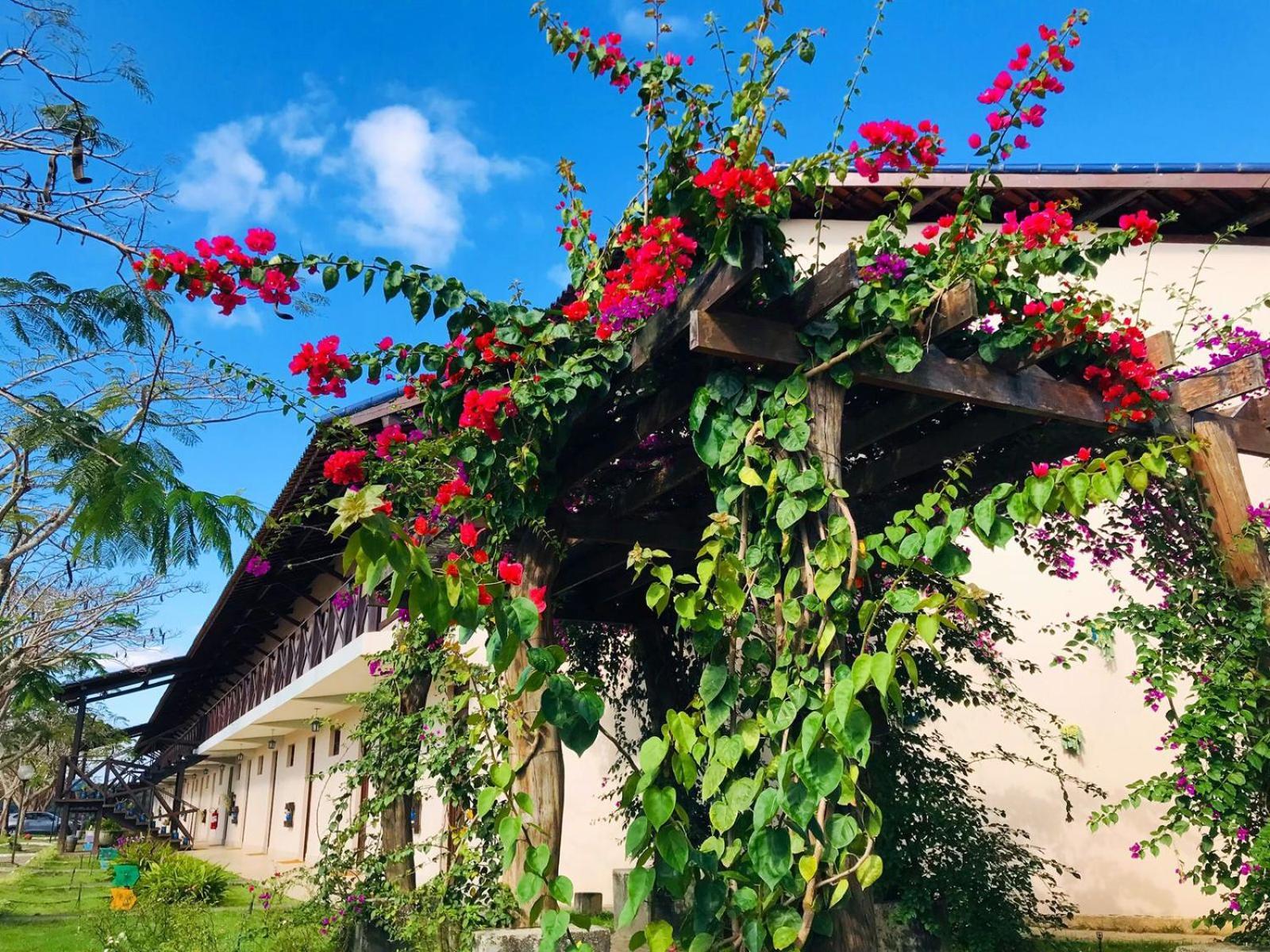 Hotel Fazenda Triunfo Арея Экстерьер фото