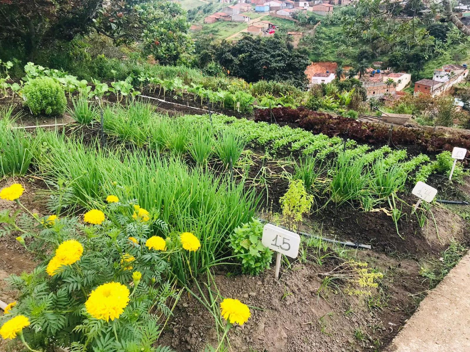 Hotel Fazenda Triunfo Арея Экстерьер фото